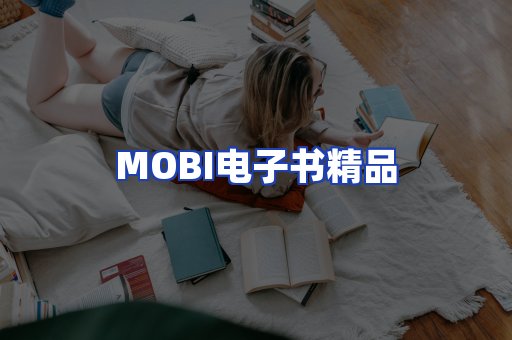 外文电子书产品